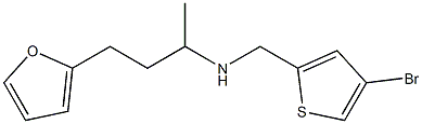 [(4-bromothiophen-2-yl)methyl][4-(furan-2-yl)butan-2-yl]amine Struktur