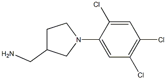 [1-(2,4,5-trichlorophenyl)pyrrolidin-3-yl]methanamine Struktur