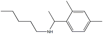 [1-(2,4-dimethylphenyl)ethyl](pentyl)amine Struktur