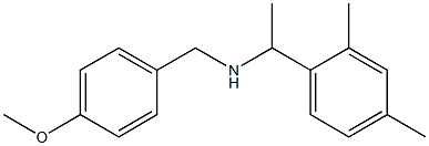 [1-(2,4-dimethylphenyl)ethyl][(4-methoxyphenyl)methyl]amine Struktur