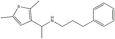 [1-(2,5-dimethylthiophen-3-yl)ethyl](3-phenylpropyl)amine Struktur