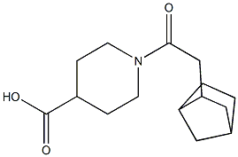 1-(2-{bicyclo[2.2.1]heptan-2-yl}acetyl)piperidine-4-carboxylic acid Struktur