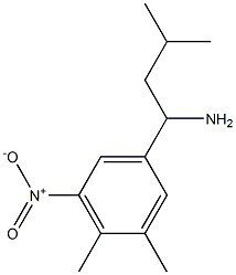 1-(3,4-dimethyl-5-nitrophenyl)-3-methylbutan-1-amine Struktur