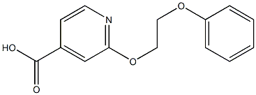 2-(2-phenoxyethoxy)pyridine-4-carboxylic acid Struktur