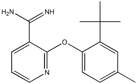 2-(2-tert-butyl-4-methylphenoxy)pyridine-3-carboximidamide Struktur