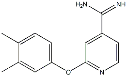 2-(3,4-dimethylphenoxy)pyridine-4-carboximidamide Struktur