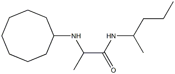 2-(cyclooctylamino)-N-(pentan-2-yl)propanamide Struktur