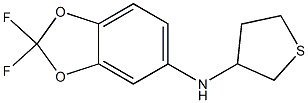 2,2-difluoro-N-(thiolan-3-yl)-2H-1,3-benzodioxol-5-amine Struktur