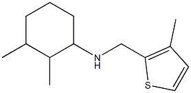 2,3-dimethyl-N-[(3-methylthiophen-2-yl)methyl]cyclohexan-1-amine Struktur