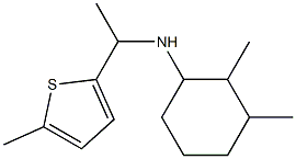 2,3-dimethyl-N-[1-(5-methylthiophen-2-yl)ethyl]cyclohexan-1-amine Struktur