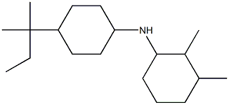 2,3-dimethyl-N-[4-(2-methylbutan-2-yl)cyclohexyl]cyclohexan-1-amine Struktur