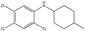 2,4,5-trichloro-N-(4-methylcyclohexyl)aniline Struktur