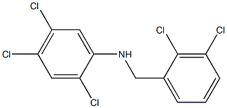 2,4,5-trichloro-N-[(2,3-dichlorophenyl)methyl]aniline Struktur