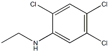 2,4,5-trichloro-N-ethylaniline Struktur