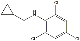 2,4,6-trichloro-N-(1-cyclopropylethyl)aniline Struktur