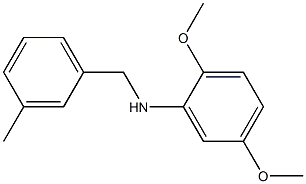 2,5-dimethoxy-N-[(3-methylphenyl)methyl]aniline Struktur