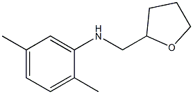 2,5-dimethyl-N-(oxolan-2-ylmethyl)aniline Struktur