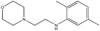 2,5-dimethyl-N-[2-(morpholin-4-yl)ethyl]aniline Struktur