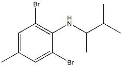 2,6-dibromo-4-methyl-N-(3-methylbutan-2-yl)aniline Struktur