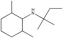 2,6-dimethyl-N-(2-methylbutan-2-yl)cyclohexan-1-amine Struktur