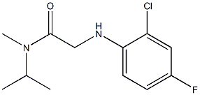 2-[(2-chloro-4-fluorophenyl)amino]-N-methyl-N-(propan-2-yl)acetamide Struktur