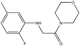 2-[(2-fluoro-5-methylphenyl)amino]-1-(morpholin-4-yl)ethan-1-one Struktur