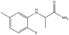 2-[(2-fluoro-5-methylphenyl)amino]propanamide Struktur