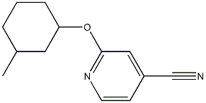 2-[(3-methylcyclohexyl)oxy]pyridine-4-carbonitrile Struktur