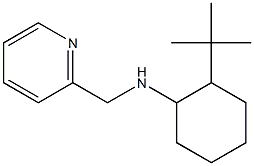 2-tert-butyl-N-(pyridin-2-ylmethyl)cyclohexan-1-amine Struktur