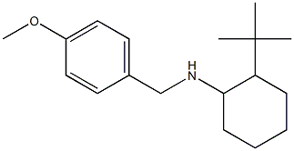 2-tert-butyl-N-[(4-methoxyphenyl)methyl]cyclohexan-1-amine Struktur