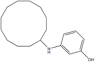 3-(cyclododecylamino)phenol Struktur