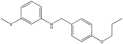 3-(methylsulfanyl)-N-[(4-propoxyphenyl)methyl]aniline Struktur