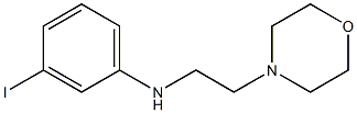 3-iodo-N-[2-(morpholin-4-yl)ethyl]aniline Struktur