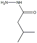 3-methylbutanehydrazide Struktur