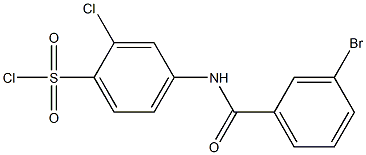 4-[(3-bromobenzene)amido]-2-chlorobenzene-1-sulfonyl chloride Struktur