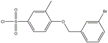 4-[(3-bromophenyl)methoxy]-3-methylbenzene-1-sulfonyl chloride Struktur