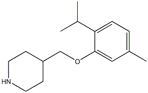 4-[5-methyl-2-(propan-2-yl)phenoxymethyl]piperidine Struktur