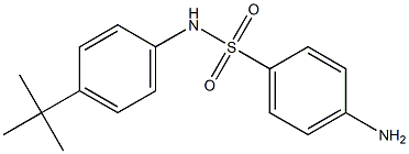 4-amino-N-(4-tert-butylphenyl)benzene-1-sulfonamide Struktur