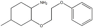 4-methyl-2-(2-phenoxyethoxy)cyclohexan-1-amine Struktur