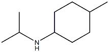 4-methyl-N-(propan-2-yl)cyclohexan-1-amine Struktur