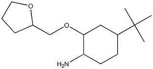 4-tert-butyl-2-(oxolan-2-ylmethoxy)cyclohexan-1-amine Struktur