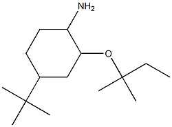 4-tert-butyl-2-[(2-methylbutan-2-yl)oxy]cyclohexan-1-amine Struktur