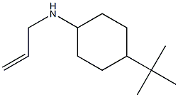 4-tert-butyl-N-(prop-2-en-1-yl)cyclohexan-1-amine Struktur