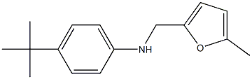 4-tert-butyl-N-[(5-methylfuran-2-yl)methyl]aniline Struktur