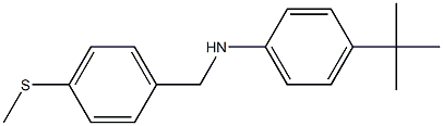 4-tert-butyl-N-{[4-(methylsulfanyl)phenyl]methyl}aniline Struktur