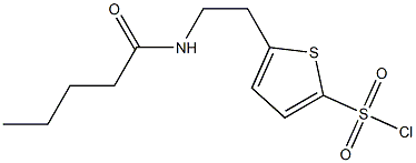 5-[2-(pentanoylamino)ethyl]thiophene-2-sulfonyl chloride Struktur