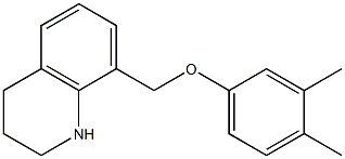 8-(3,4-dimethylphenoxymethyl)-1,2,3,4-tetrahydroquinoline Struktur