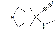 8-methyl-3-(methylamino)-8-azabicyclo[3.2.1]octane-3-carbonitrile Struktur