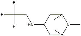 8-methyl-N-(2,2,2-trifluoroethyl)-8-azabicyclo[3.2.1]octan-3-amine Struktur