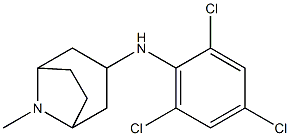 8-methyl-N-(2,4,6-trichlorophenyl)-8-azabicyclo[3.2.1]octan-3-amine Struktur